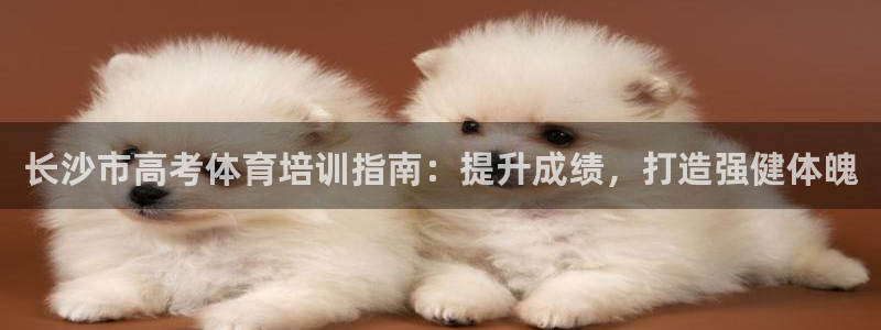 焦点娱乐怎么找导师：长沙市高考体育培训指南：提升成绩
