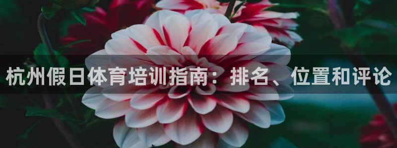 焦点娱乐总代理在哪：杭州假日体育培训指南：排名、位置