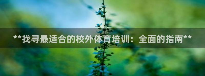焦点娱乐是什么：**找寻最适合的校外体育培训：全面的