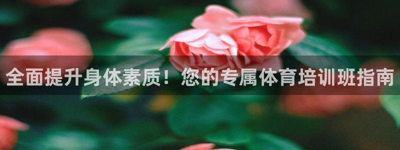 焦点娱乐总代理是谁：全面提升身体素质！您的专属体育培