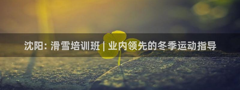 焦点娱乐平台注册账号安全吗知乎：沈阳: 滑雪培训班 