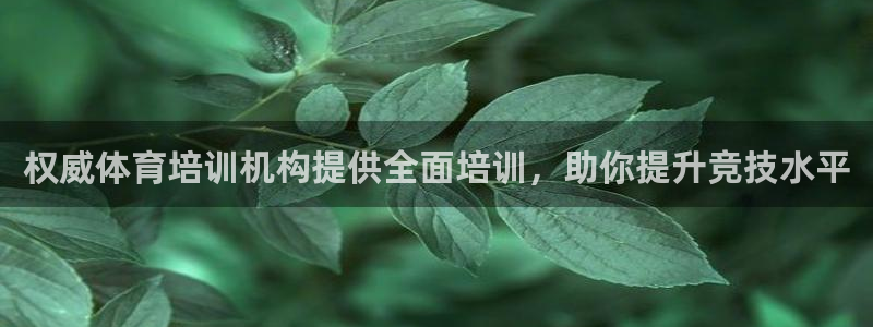 焦点娱乐传媒有限公司招聘电话：权威体育培训机构提供全