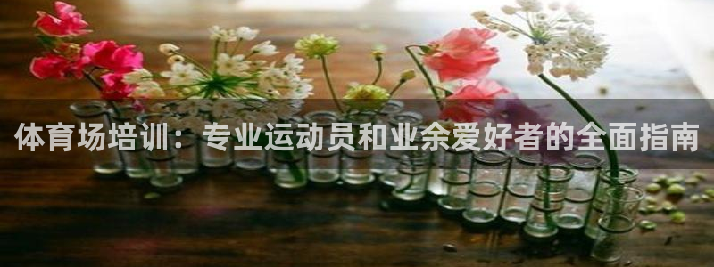 焦点娱乐公司的发展历程是什么：体育场培训：专业运动员
