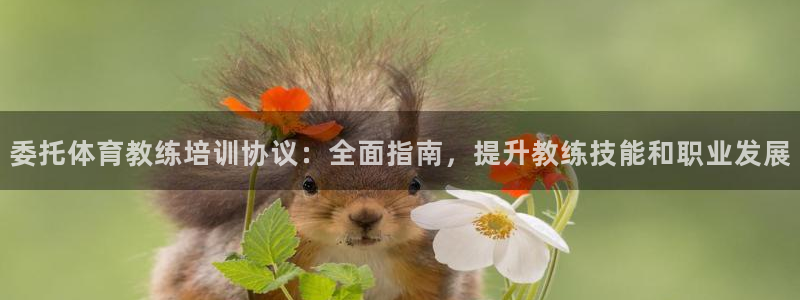 焦点娱乐app下载官网最新版苹果：委托体育教练培训协