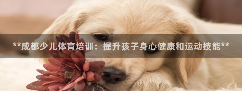 焦点娱乐传媒有限公司是干嘛的：**成都少儿体育培训：