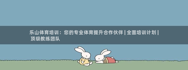 焦点娱乐加速器下载：乐山体育培训：您的专业体育提升合