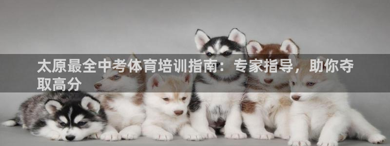 焦点娱乐传媒有限公司招聘：太原最全中考体育培训指南：