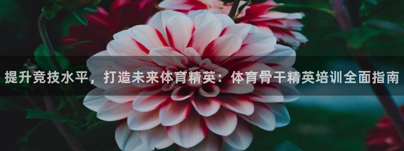 焦点娱乐待遇：提升竞技水平，打造未来体育精英：体育骨