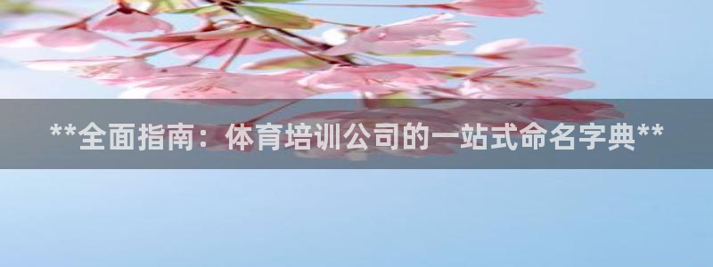 焦点娱乐加速器下载安卓：**全面指南：体育培训公司的