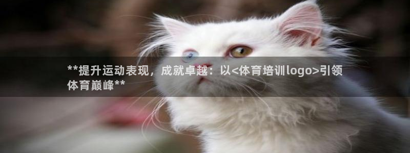 焦点娱乐官网首页入口网站：**提升运动表现，成就卓越