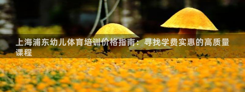 焦点娱乐软件版本：上海浦东幼儿体育培训价格指南：寻找