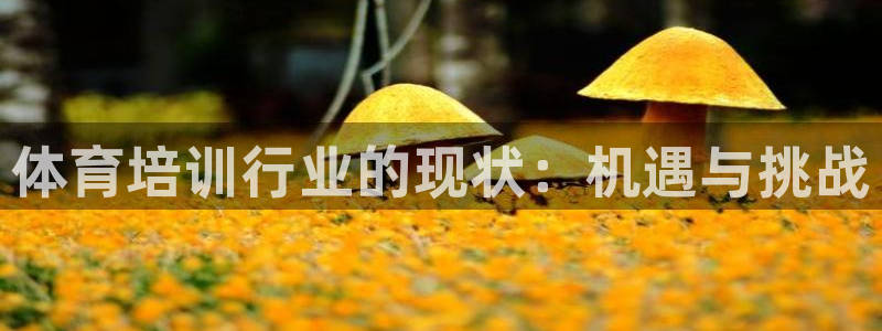 焦点娱乐传媒有限公司怎么样呀：体育培训行业的现状：机