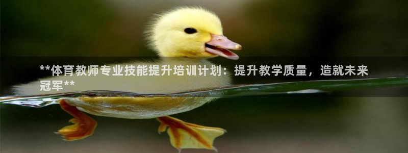 焦点娱乐软件版本区别：**体育教师专业技能提升培训计