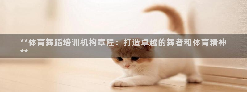 焦点娱乐官网下载安装：**体育舞蹈培训机构章程：打造卓越的舞