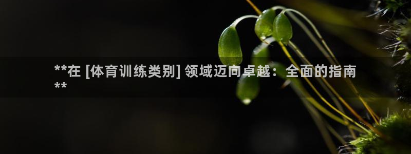 焦点娱乐跨服2013