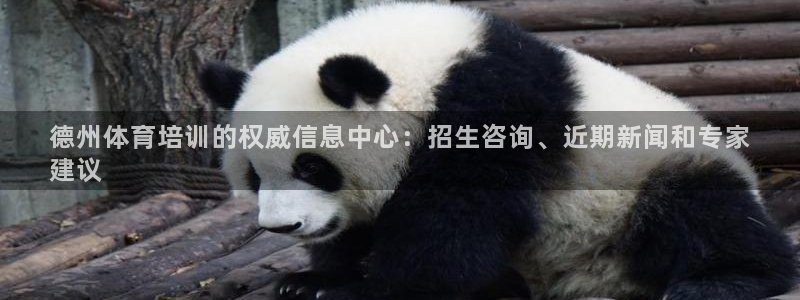 焦点娱乐总代理是谁：德州体育培训的权威信息中心：招生咨询、近