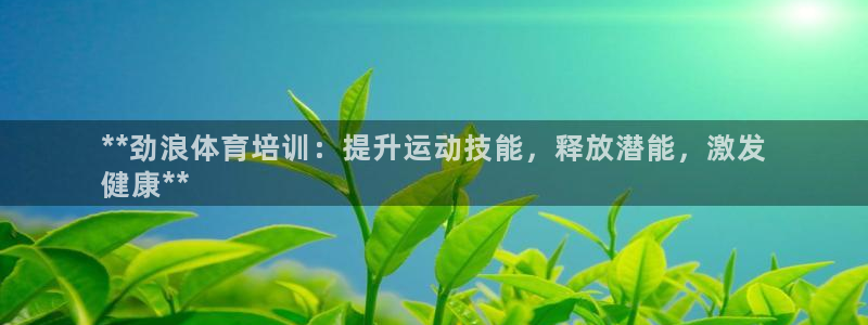 焦点娱乐黑平台曝光：**劲浪体育培训：提升运动技能，释放潜能