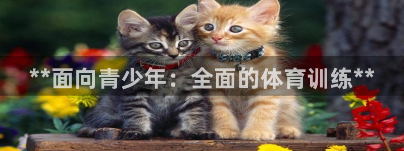 焦点娱乐平台总代理开户怎么样啊：**面向青少年：全面