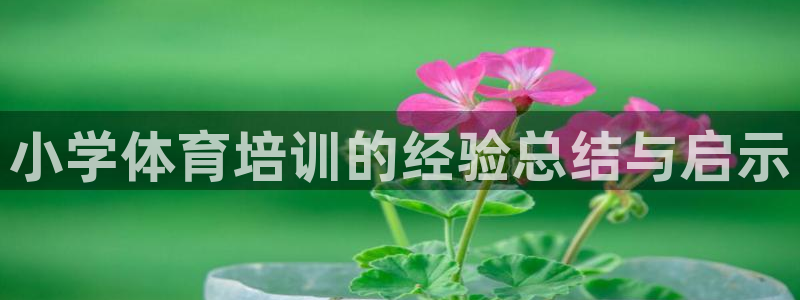 焦点娱乐官网首页下载手机版：小学体育培训的经验总结与