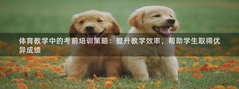 焦点娱乐说说怎么写：体育教学中的考前培训策略：提升教