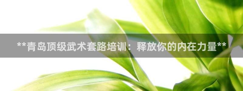 焦点娱乐官网下载苹果：**青岛顶级武术套路培训：释放你的内在