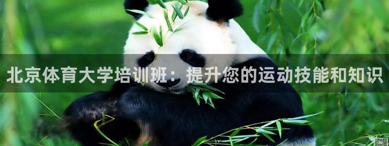 焦点娱乐官网首页入口网站：北京体育大学培训班：提升您