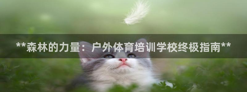 焦点娱乐说说怎么写：**森林的力量：户外体育培训学校