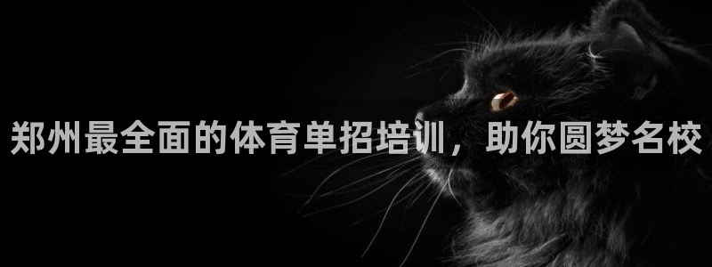 焦点娱乐官网下载安装最新版本：郑州最全面的体育单招培