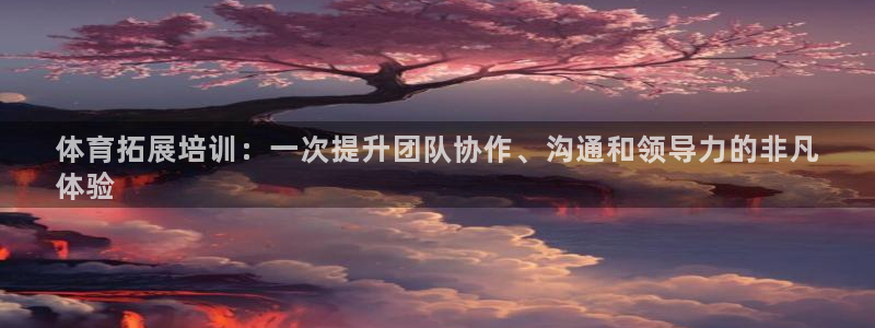 焦点娱乐公司简介怎么写