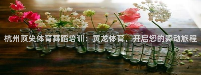 焦点娱乐平台新7O777：杭州顶尖体育舞蹈培训：黄龙