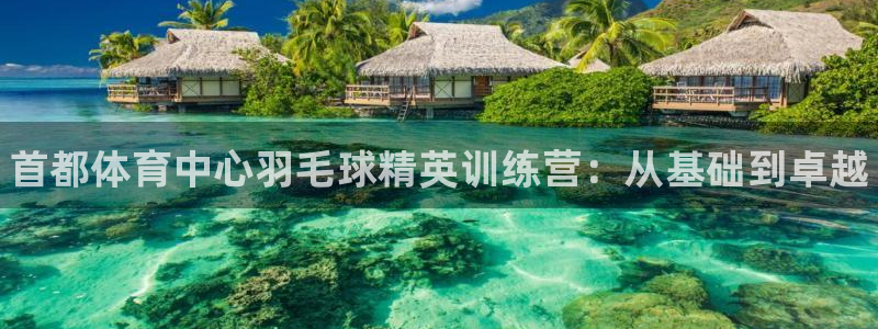 焦点娱乐官网下载安装最新版手机