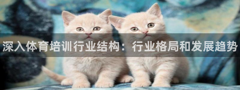 焦点娱乐平台客服热线电话：深入体育培训行业结构：行业