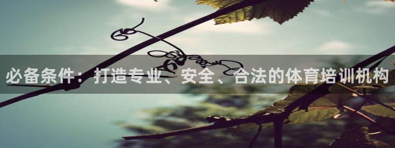 焦点娱乐平台总代理开户