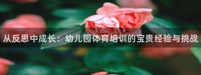 焦点娱乐简七O935最新版本更新内容