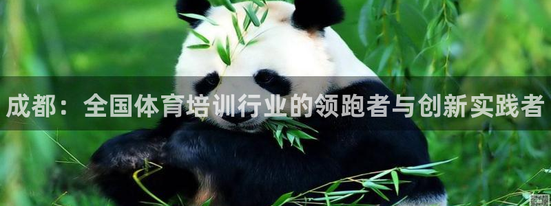 焦点娱乐vs皇族不败神话：成都：全国体育培训行业的领跑者与创