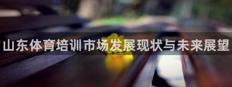 焦点娱乐不出款：山东体育培训市场发展现状与未来展望
