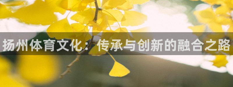 焦点娱乐平台客服电话号码：扬州体育文化：传承与创新的