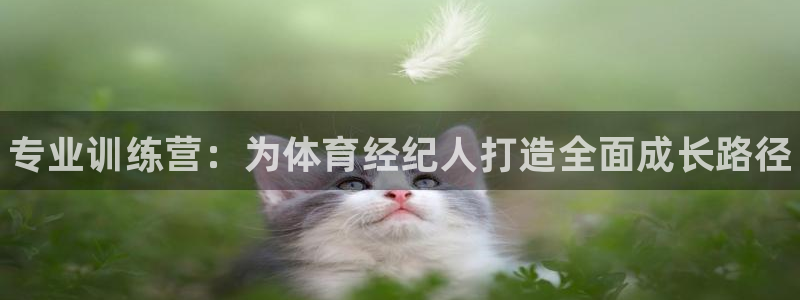 焦点娱乐app下载安装最新版：专业训练营：为体育经纪