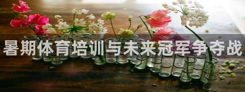 焦点娱乐公司简介图片：暑期体育培训与未来冠军争夺战