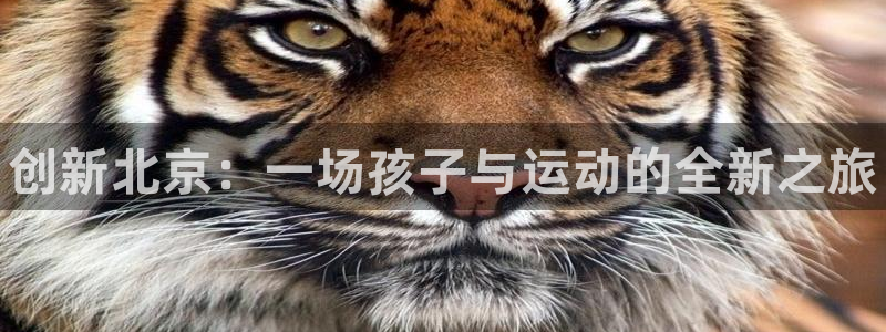 焦点娱乐传媒有限公司怎么样：创新北京：一场孩子与运动