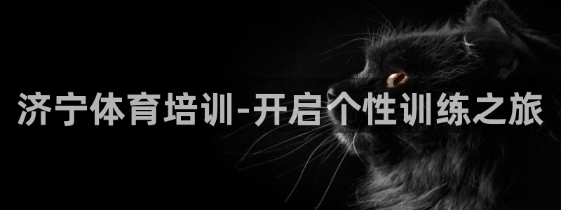 焦点娱乐财神：济宁体育培训-开启个性训练之旅