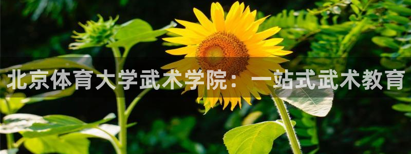 焦点娱乐官方网站下载手机版苹果：北京体育大学武术学院：一站式