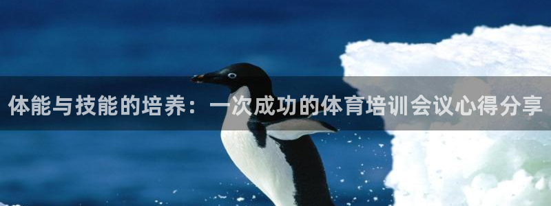 焦点娱乐官网下载安装手机版苹果：体能与技能的培养：一