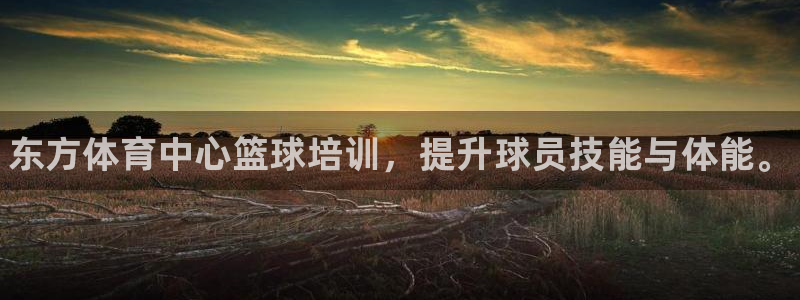 焦点娱乐软件版本下载：东方体育中心篮球培训，提升球员