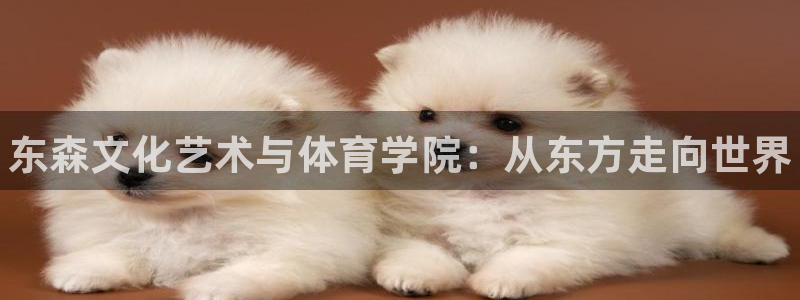 焦点娱乐直属：东森文化艺术与体育学院：从东方走向世界