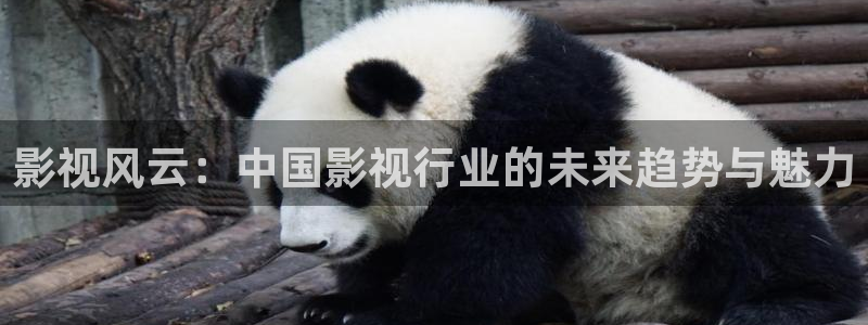 黑蚂蚁影院