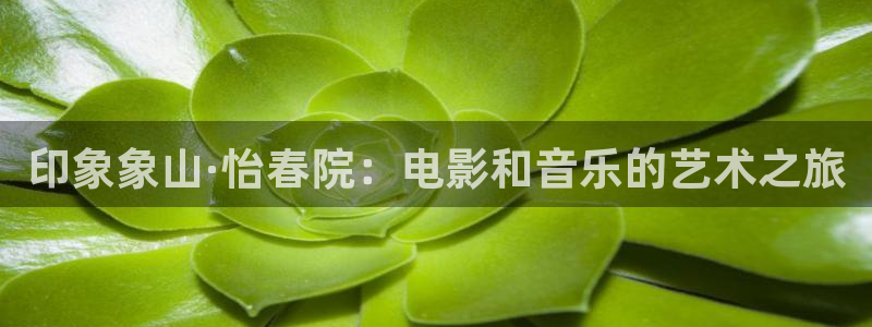 黑蚂蚁影视电视剧大全网站