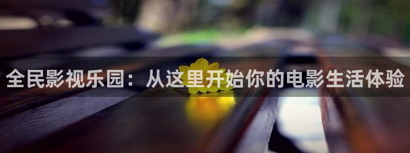 黑蚂蚁影视公司