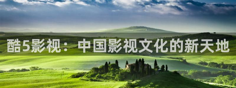 黑蚂蚁影视
