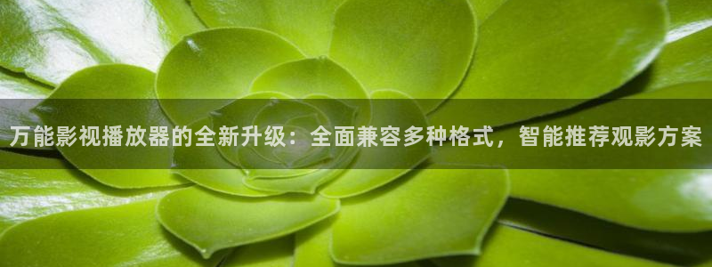 黑蚂蚁影视剧官网